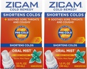 Zicam Rece Remedy Zinc Arctic Mint Oral Mist, 1 Ounce (Pachet de 2)
