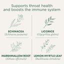 Medicamente tradiţionale Lozenges, Organic Throat Coat Lemon Ginger Echinaceae, Sore Throat Support, 16 Count (Pachet de 2)