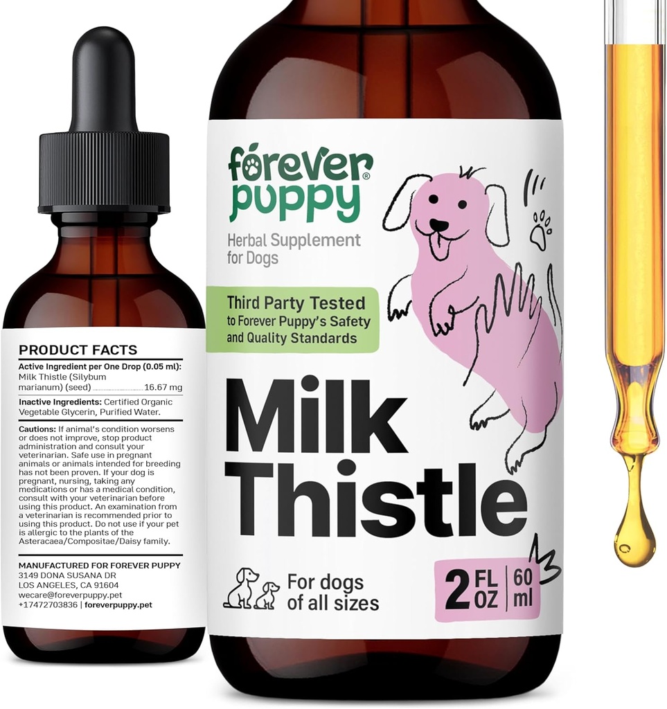 Catelus lapte Thistle Supliment pentru câini - Suport pentru ficat pentru câini cu extract de muls de lapte - Silymarin Suplimente & Vitamine pentru Rasa Medium mic mare - Picături de dezintoxicare ficat canin - 2 oz