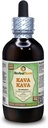 Kava Kava (Piper Methysticum) Glicerit, extract lichid fără alcool uscat (Brand Name: HerbalTerra, Proudly Made in USA) 4 fl.oz (120 ml)
