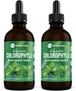 360 Nutritie Clorofila Picături lichide cu ulei de menta, GF & Vegan Body interior deodorant Supliment, Sprijină Sanatate Gut, Digestion, Energie, Radiant Skin, Absorbție rapidă (4 Fl Oz (2 Conte))