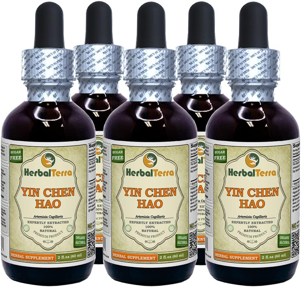 Yin Chen Hao (Artemisia Capillaris) Tinctură, Extract lichid de plante uscate organice (Brand Name: HerbalTerra, Proudly Made in USA) 5x2 fl.oz (5x60 ml)