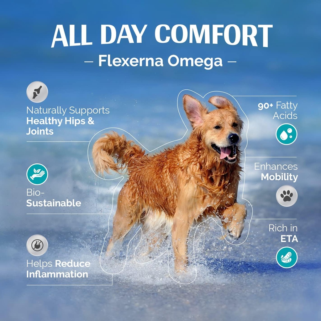 Supliment comun pentru câini - bogat în ulei de pește - Omega-3 suport - Vet-Formulate Mobilitate & Comfort - 8 Oz pompa lichid