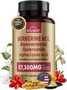 Premium Berberine Supliment cu Resveratrol Quercetin Alpha Acid lipoic - 50:1 Berberine HCl Complex potent Antioxidanti, Polifenoli, Vitality Boost - 90 comprimate Vegan, Non-GMO, Gluten-Free