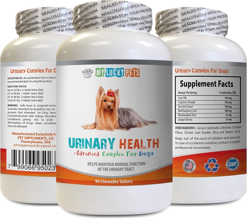 Caine Incontinenta urinara - Formula de sanatate urinara caine - ajuta cu probleme de incontinenta si vezica urinara - Boost imunitar - Capsule de matase de porumb pentru câini - 1 flacon (90 tratează)