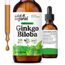 Wild & Organic Ginkgo Biloba Tincture - Brain & Focus Supplement cu Ginkgo Leaf - Vegan, Sugar & Alcohol Free Herbal extract Tincture - 2 fl oz