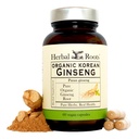 Rădăcini de plante Panax Ginseng 
