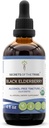 Secretele tribului Black Elderberry Tinctură fără alcool (Glicerite) 680 mg USDA Black Elderberry organic (Sambucus Nigra) Berry uscat (4 Fl Oz) Supliment de sprijin imun