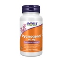 Acum alimente Suplimente, Pycnogenol 60 mg (un Combo unic de Proanthocyanidins de pin maritim francez) cu acerola & Rutin pulbere, 50 Veg capsule