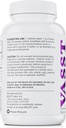 BELDT Labs VASST oxid de azot Booster, N.O. Supliment cu peste 3000 mg de Arginine-AKG, OKG, GKG, și L-Arginina HCL pentru construirea musculare și creșterea vascularității - 90 comprimate
