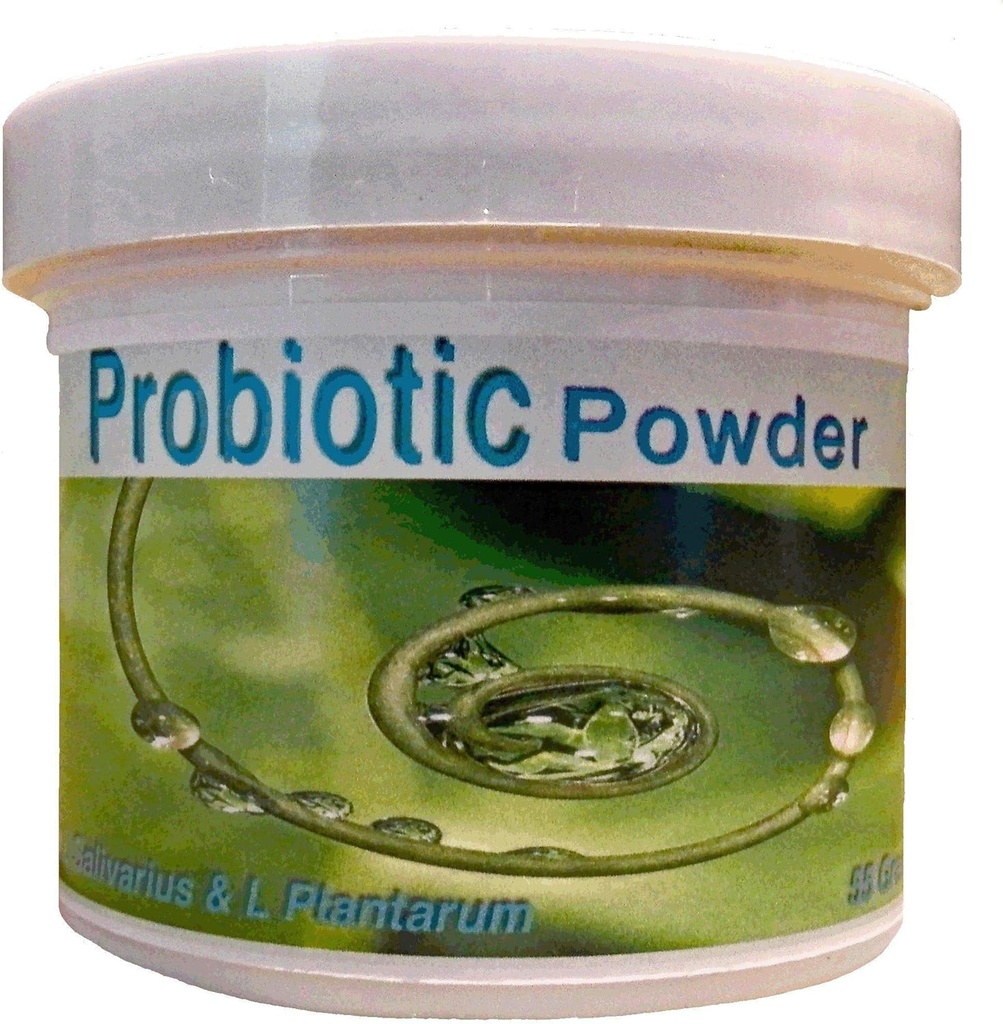 Probiotice Pulbere 55 Grams