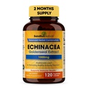 SANDHUHERBALS Sandhu Herbals Echinacea Goldenseal 1000 Mg 120 Capsule