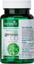 Geneza LABORATOARE Supliment probiotic cu Bifidobactery spp. 250 mg 30 Capsule Suport imunitar Probiotice pentru sănătate digestivă Anti Blooting pentru bărbaţi şi femei Gut Restaura Probiotic