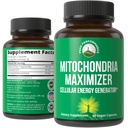 Mitocondrii Maximizator cu CoQ10 și PQQ activ. Cel mai bun supliment de suport mitocondrial cu ulei MCT. Generator celular natural pentru energie curată, concentrat 60 Capsule vegetariene