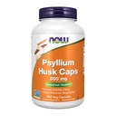 ACUM alimente Suplimente, Psyllium Husk Caps 500 mg, non-GMO proiect verificat, naturale solubile Fibră, Intestinal Health*, 500 Veg Capsule