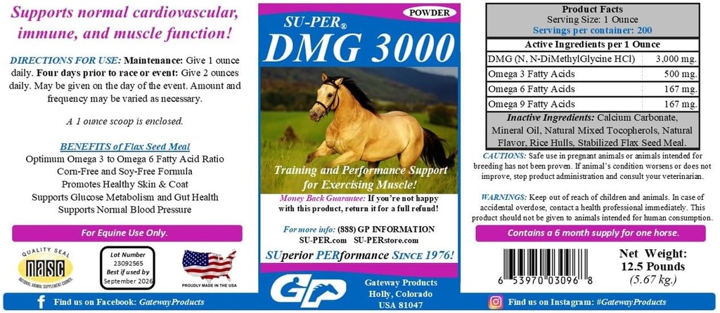 SU-PER DMG 3000 Suplimentul cailor - Instruire și suport de performanță pulbere - Sprijină funcția normală cardiovasculară imună și musculară - 12,5 lire sterline, 6 luni de aprovizionare