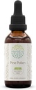 HerbEra Pine Pollen B60 Extract de plante fără alcool Tinctură, concentrat picături lichide naturale (Song Hua Fen, Scots Pine, Pinus Sylvestris) 2 fl oz