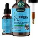 Animal Essentials Slippery Elm - Slippery Elm Bark Anti Diaree picături pentru câini și pisici, Extract de plante organice pentru guta sanatoasa, Digestive & Throat Support, Ajuta la reflux acid, lichid Formula- 1 fl oz