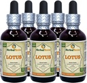 Lotus, Xi Xin (Nelumbo Nucifera) Extract lichid de Stem uscat (Brand Name: HerbalTerra, Proudly Made in USA) 5x2 oz