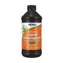 ACUM alimente Suplimente, Clorofila nearomatizata lichid, 100 mg pe teaspon, 16 fl. oz.