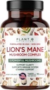 Plant.O Premium Lion's Mane Supplement, All Natural Nootrops Brain Supplement, 5 Mushroom Complex 