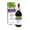 Naturalma Rhodiola rosea (Sedum roseum) Root Alcool-Free Tincture - 4 fl oz Extract lichid în picături - Supliment vegetal - Vegan