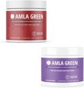Amla Powder & Green Tea Superfood Supplement, Antioxidant Support, Made with Hibiscus (90 portii) & Elderberberberries (30 portii), Organic, Vegan