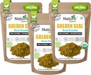 Naturefi Organic Goldenseal Root Powder - 10.5 oz, 300 Serviri *USDA Organic 