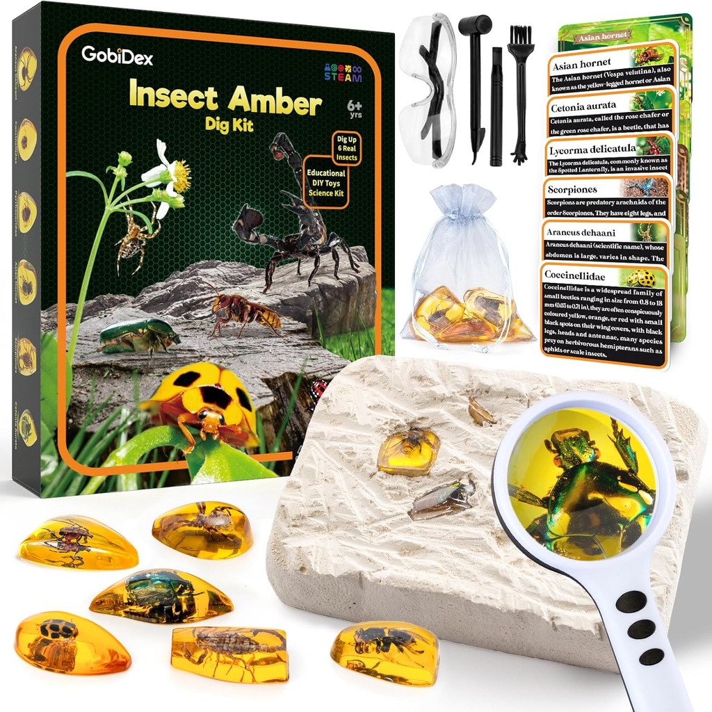 GobiDex Amber Dig Kit-Artifificial Insect Resin, Excavate 6 Insecte Specimene, STEM Geographic Educational Bugs Jucării, Excavare jucării pentru distracție Bugs Party Favors, Kituri de știință pentru copii Vârsta 6-8 8-12