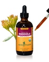 Herb Pharm Certified Organic Rhodiola Root extract for Energy, Endurance and Stamina, Alcool-Free Glicerite, 4 Once
