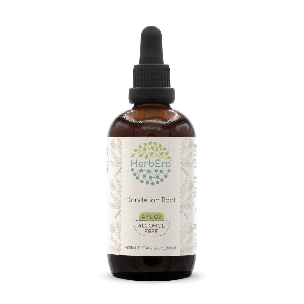 HerbEra Dandelion Root B120 Extract de plante fără alcool Tinctură, Dandelion super-concentrat (Taraxacum officinale) Rădăcină uscată (4 fl oz)