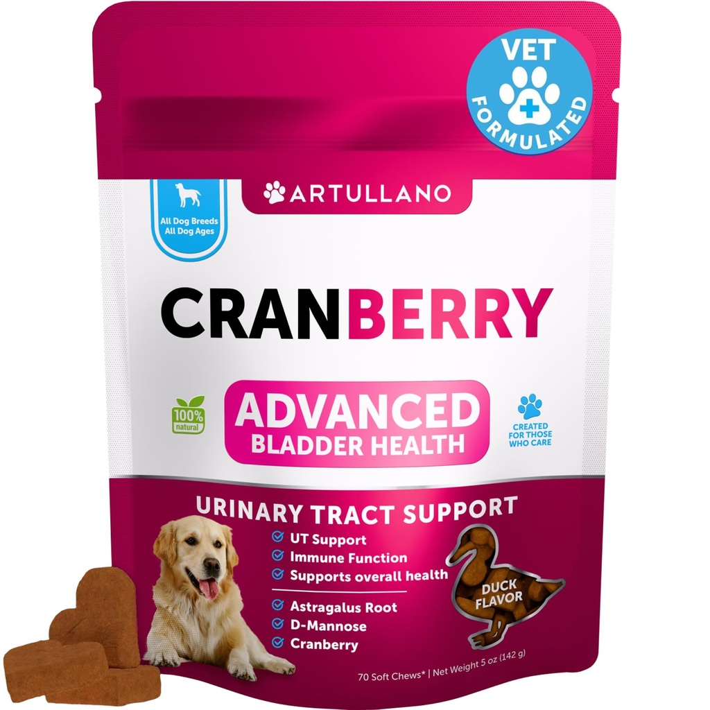 Dog UTI Tratamentul - Suplimentul Cranberry & Controlul vezicii urinare pentru câini - Infecție cu tractul urinar Pilula incontinenta, pietre vezica biliara - tratamente medicale UTI - 70 Chews moale pentru suport renal cu ulei de pește