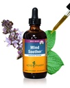 Herb Pharm Minte Soother: Sfântul Basil: supliment Kava lichid pentru a sprijini calmul și relaxarea, stabilizarea suportului pentru sistemul nervos, Made with Noble Kava & Lavender Flower, Vegan, Gluten-Free, 4 oz*