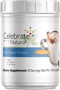 Sărbătoriți Vitamine Vegan Proteina pulbere - toate plantele naturale pe bază de proteine Shake Mix - 20g proteine de mazăre & 3g Fibră, pentru chirurgie post-bariatrică - Vanilla Chai (15 serviri)