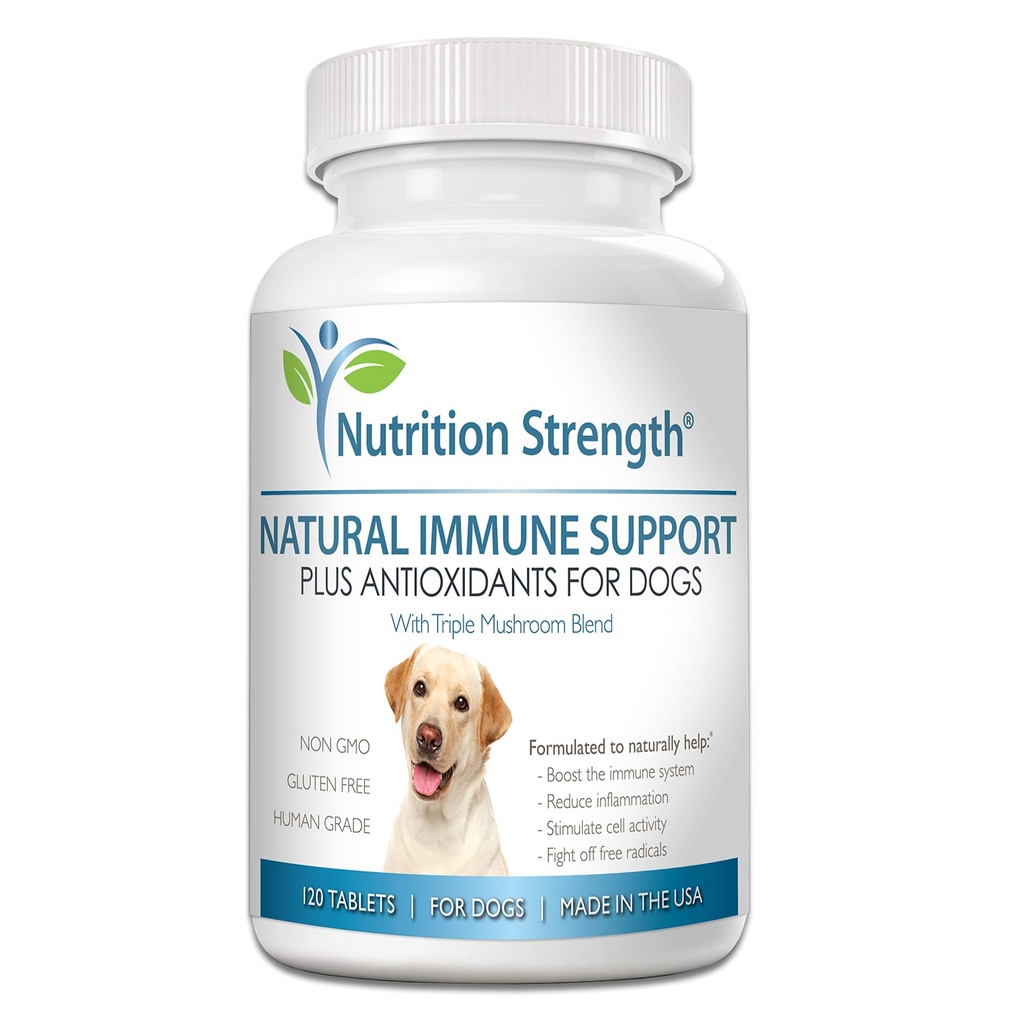 Suport imun pentru câini Plus Antioxidant, Reishi, Shiitake, Maitake, Turcia Ciuperci coada pentru câini, cu Coenzime Q10, Seleniu, Vitamina A, 120 comprimate masticabile