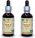 Balm Of Gilead (Populus candicans) Tincture, Muguri organici uscaţi Extract lichid (Numele brand: HerbalTerra, Proudly made in USA) 2x2 fl.oz (2x60 ml)