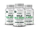 Organics Ocean Wild Sea Moss Capsule - 100% Organic Irish Sea Moss cu Chlorella organică, Bladderwrack și vitamina D pentru energie, Lung Sănătate și suport tiroidian pentru femei și bărbați - 3 sticle