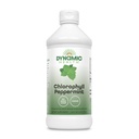 Dinamica sanatate lichid Clorofila Peppermint 100 mg, Clorofilina de cupru de sodiu cu frunze de Alfalfa si Mulberry, Plant Cleanse si Deodorizing, Fara zahar adaugat, 16 Fl Oz