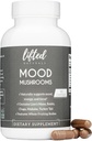 Ciuperci de Mood - supliment de ciuperci ridicate - Lion's Mane, Reishi, Chaga, Turkey Tail, Maitake - Energy, Focus, Stress Relief
