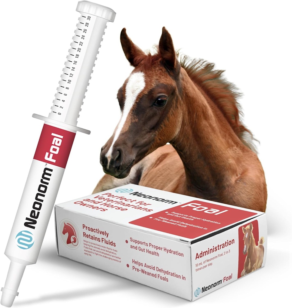 Jaguar Animal Health Foal - Suplimentul de ecvidee Paste pentru sprijinul hidrării adecvate și sănătatea intestinului - produs de bază pentru plante pentru Foals înainte de înțărcare (30 ml)