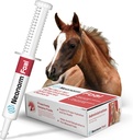 Jaguar Animal Health Foal - Suplimentul de ecvidee Paste pentru sprijinul hidrării adecvate și sănătatea intestinului - produs de bază pentru plante pentru Foals înainte de înțărcare (30 ml)