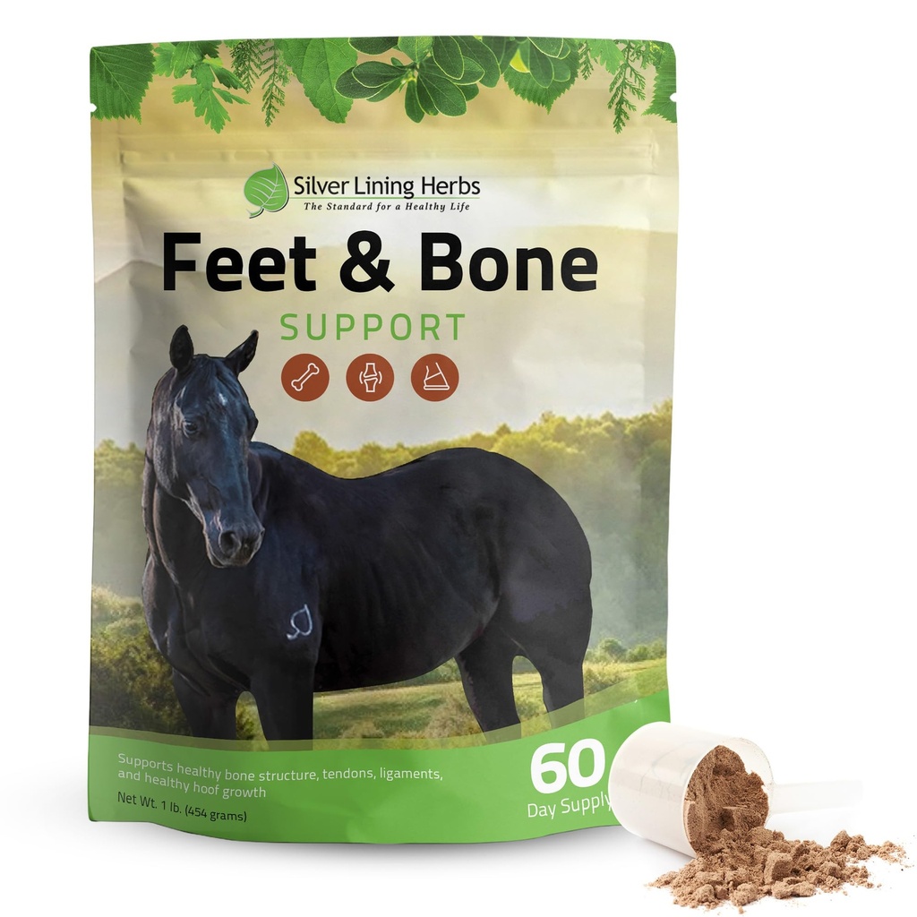 Argint Lining Herbs Picioare & Bone Supplement Pudră de cai Tendoane naturale, Ligaments & Înconjurare țesuturi și Hoof Supliment pentru cai - Normal Limbs Circulation Provizii de îngrijire a cailor - 1 LB
