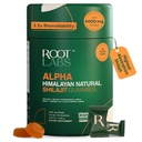 10-in-1 Alpha Shilajit Gummies 