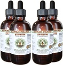 African Cherry Pygeum Alcool-Liquid extract, African Cherry Pygeum (Prunus Africana) Bark Glycerite Natural Herbal Supplement, Hawaii Pharm, SUA 4x4 oz
