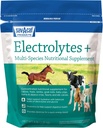 Sav-a-Caf Electrolytes PlusTM Supliment 