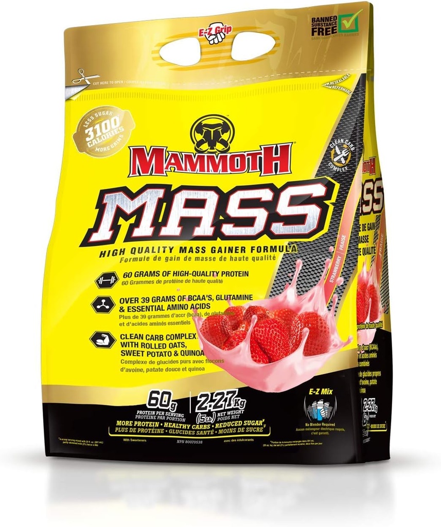 MAMOTH Mass: Greutate Gainer, Mare Calorie Proteine Praf de antrenament Smoothie Shake, Masă de schimb, Zahăr scăzut, Whey Izolate Concentrat, Casein Proteine Blend, Proteină mare (Afine, 5lb)