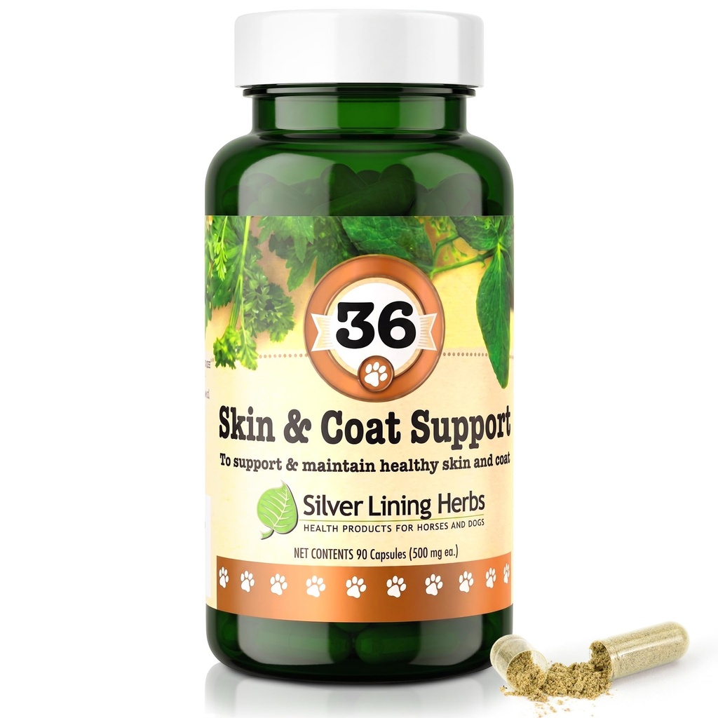 Silver Lining Herbs 36 Canine Skin & Coat Support - Natural Herbal Supplement to Fortify Dogs Against the Environment - Herbal Skin and Coat Supplement for Dogs - 90 Capsule
