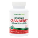 NaturasPlus Organic Cranberry 500 mg - 60 capsule - Ajuta la promovarea sanatoasa tract urinar - USDA Certified Organic, Vegan, Gluten Free, Non-GMO - 30 Serviri