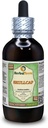 Skullcap (Scutellaria Lateriflora) Glicerite, Extract lichid organic uscat de plante aromatice fără alcool (Brand Name: HerbalTerra, Proudly Made in USA) 4 fl.oz (120 ml)