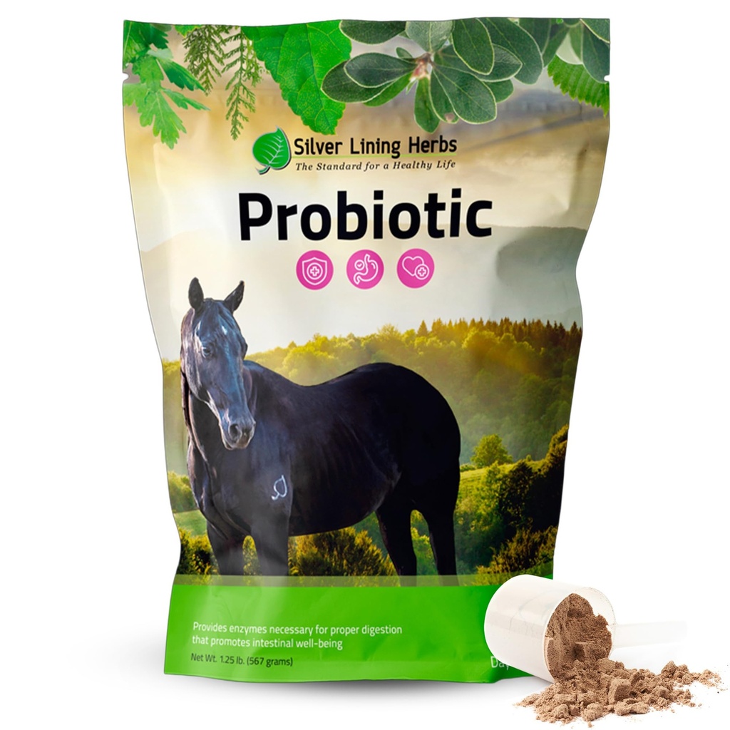 Silver Lining Herbs Horse Probiotice Digestive Suplimente - Digestive Enzyme & Gut Health Probiotic Supliment pentru Cai - Conține 13.2 Miliarde CFU Probiotic Strains - 1.25 lb 60-Day Supply